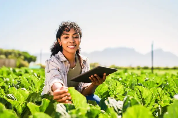 African farmer working in fields